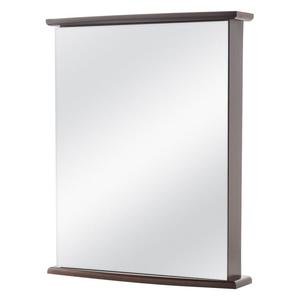 Home Decorators Collection 22 in. W x 27-5/8 in. H Fog Free Frameless Surface-Mount Bathroom Medicine Cabinet in Java (retail 